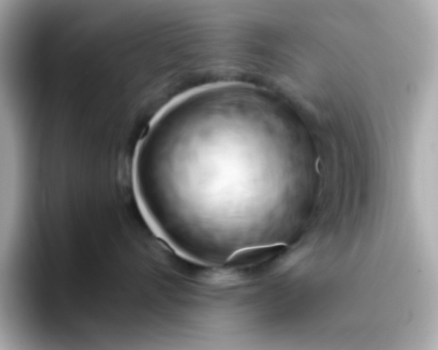 X0000096460528200802141534