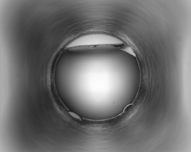 X0000096460530200802141534
