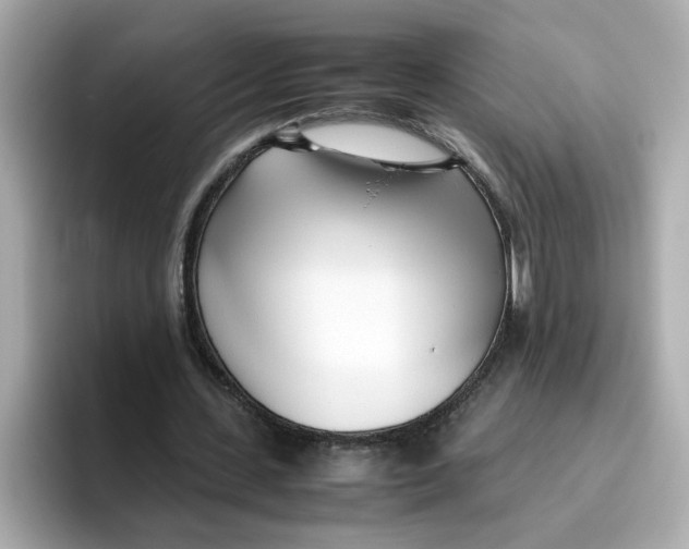 X0000096460531200802141534