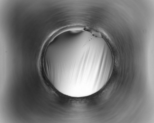 X0000096460532200802141534