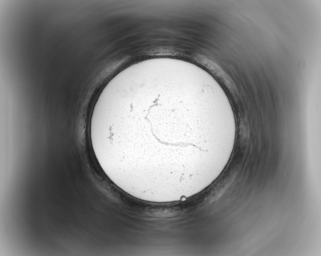 X0000096460533200802141534