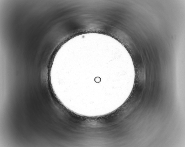 X0000096460534200802141534