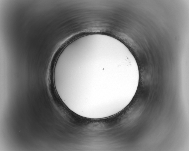 X0000096460536200802141534