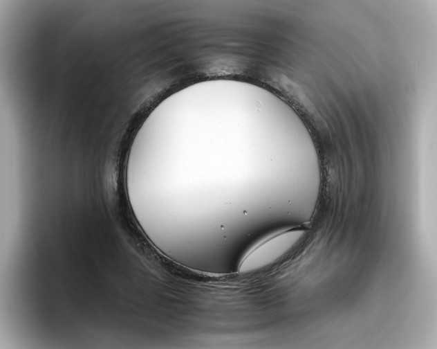 X0000096460539200802141534