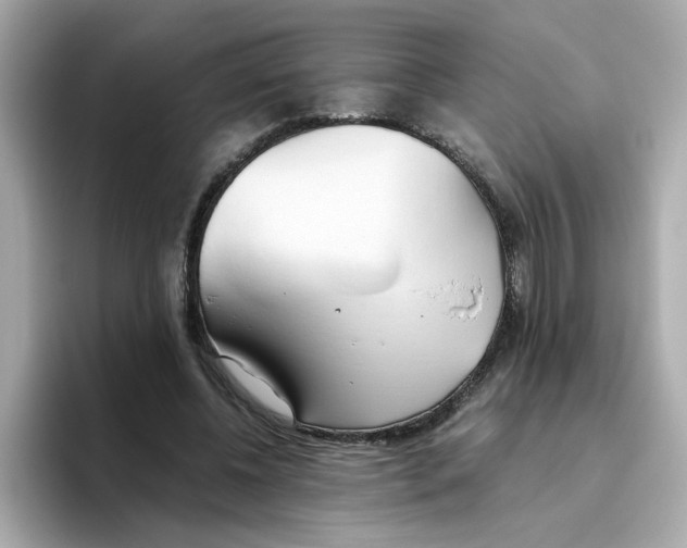 X0000096460540200802141534