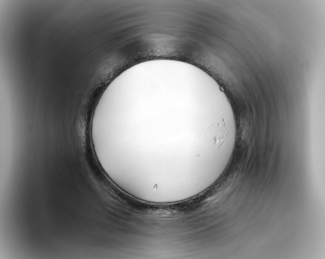 X0000096460542200802141534