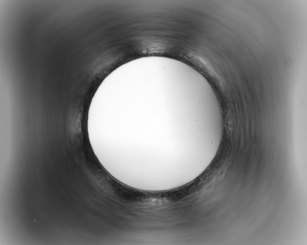 X0000096460543200802141534