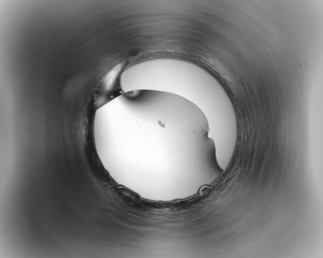 X0000096460544200802141534