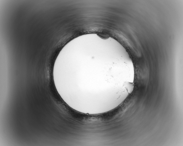 X0000096460546200802141534