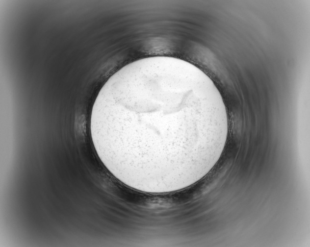 X0000096460549200802141534