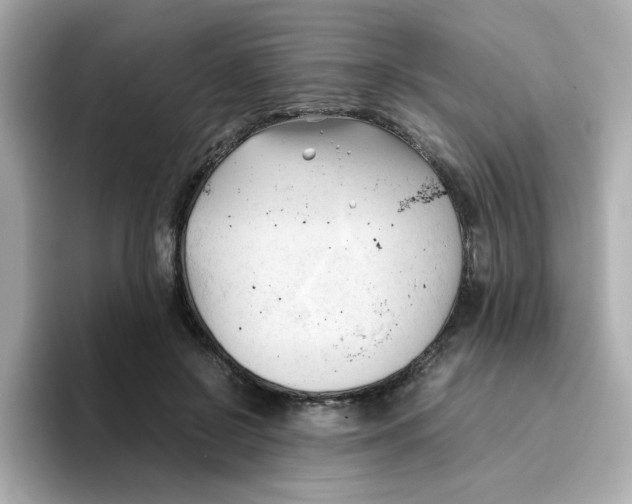 X0000096460550200802141534