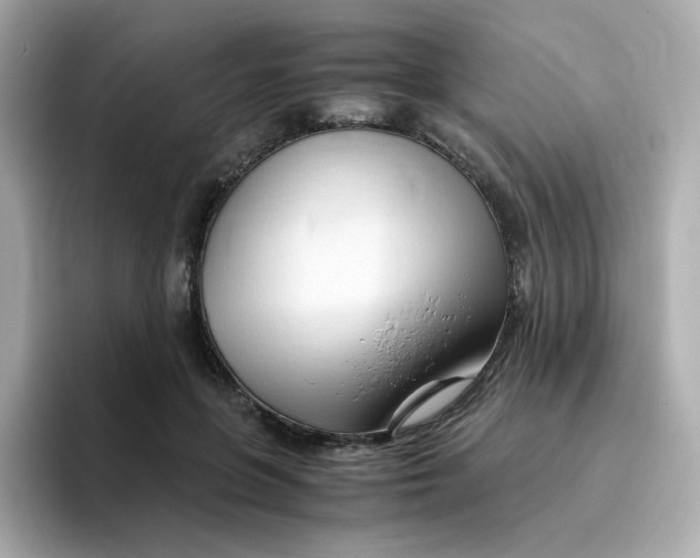 X0000096460551200802141534
