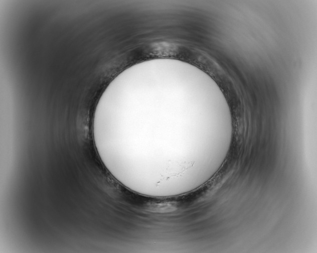 X0000096460553200802141534