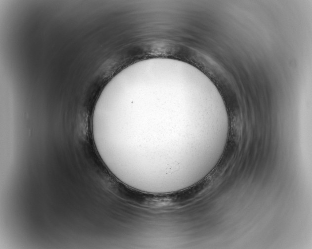 X0000096460554200802141534