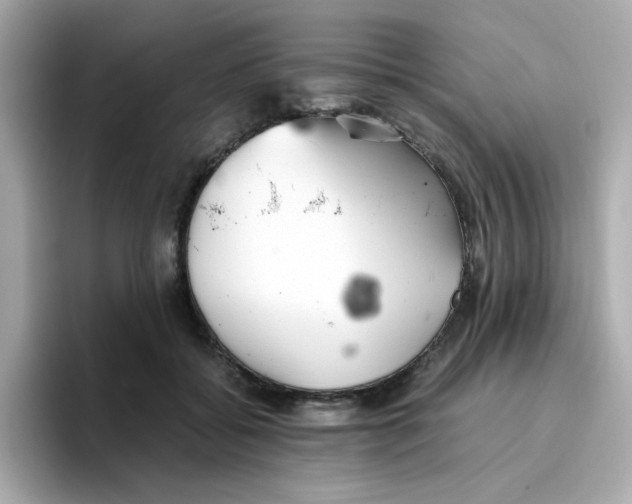 X0000096460556200802141534