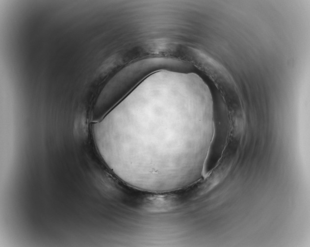 X0000096460558200802141534