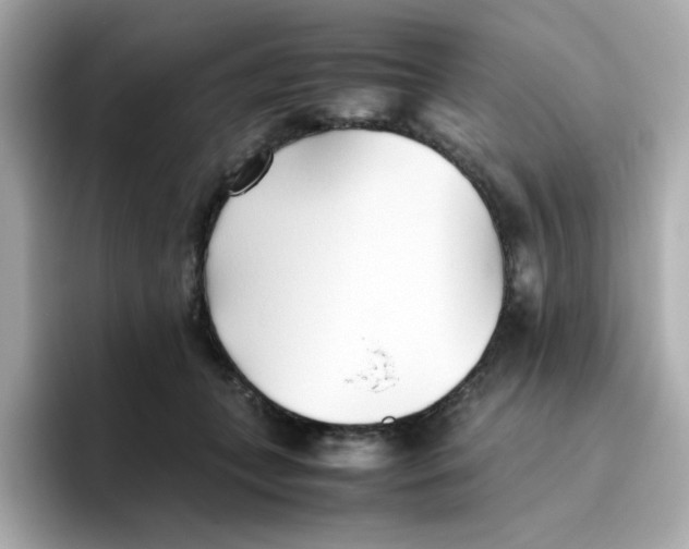 X0000096460559200802141534