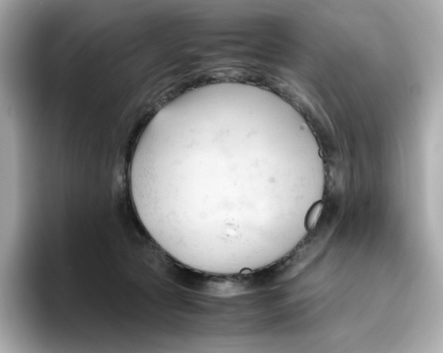 X0000096460561200802141534