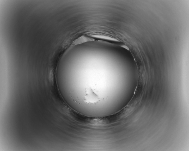 X0000096460562200802141534
