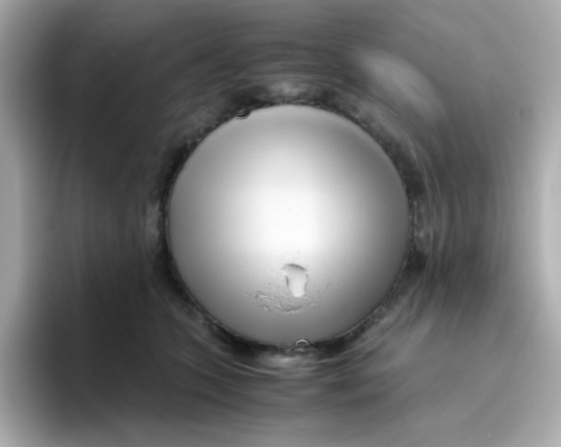 X0000096460563200802141534