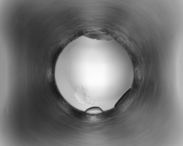 X0000096460564200802141534