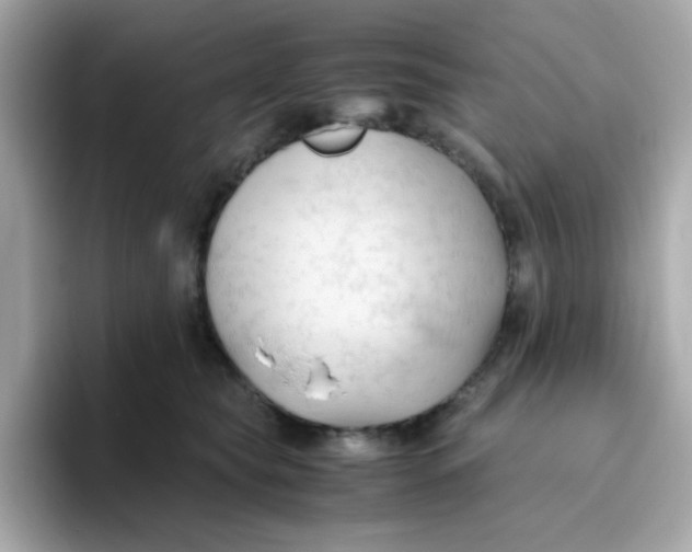 X0000096460565200802141534
