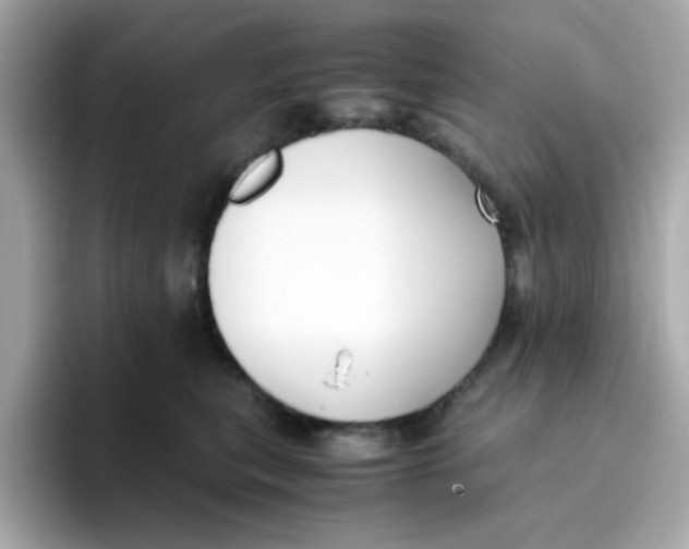 X0000096460567200802141534