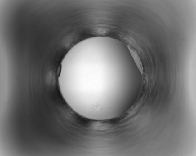 X0000096460568200802141534