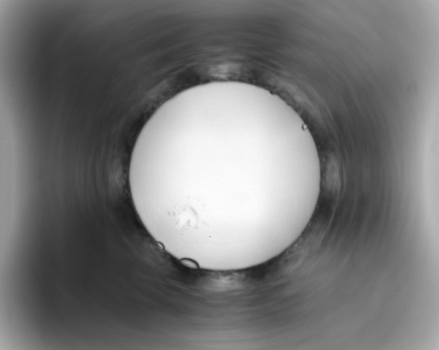X0000096460569200802141534