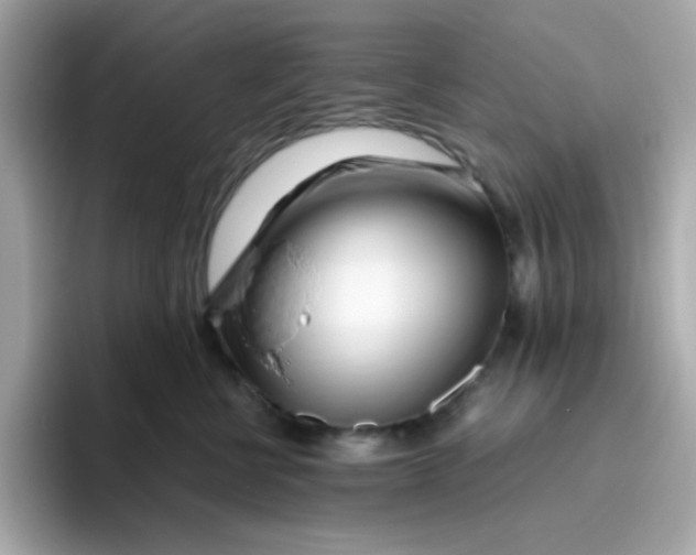 X0000096460570200802141534