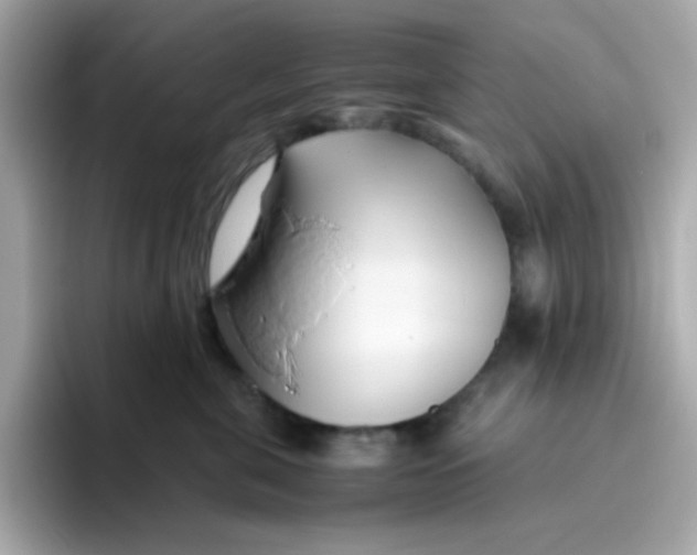 X0000096460571200802141534