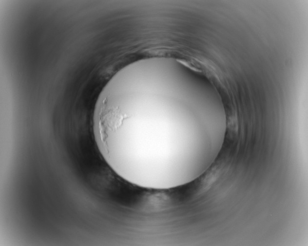 X0000096460572200802141534