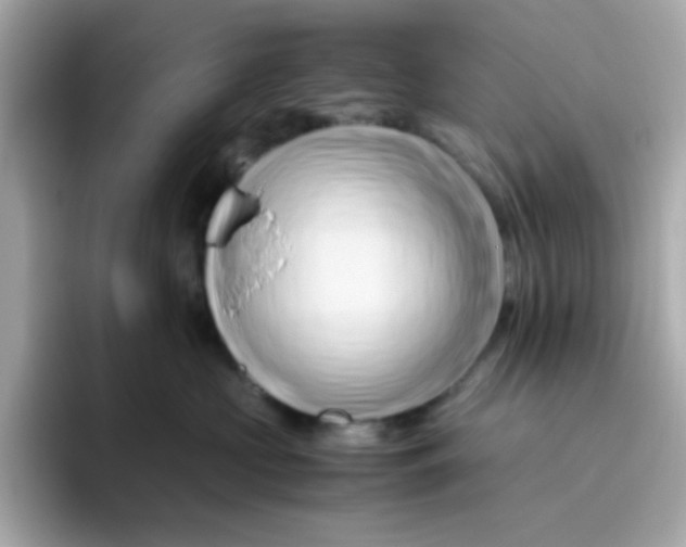 X0000096460573200802141534