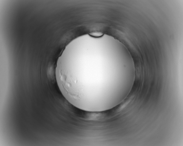 X0000096460575200802141534