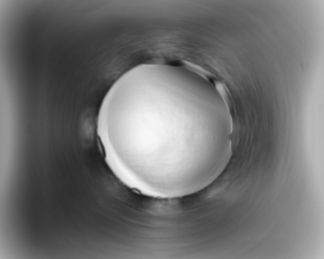 X0000096460576200802141534