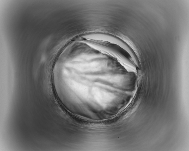 X0000096460577200802141534