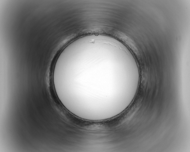 X0000096460578200802141534