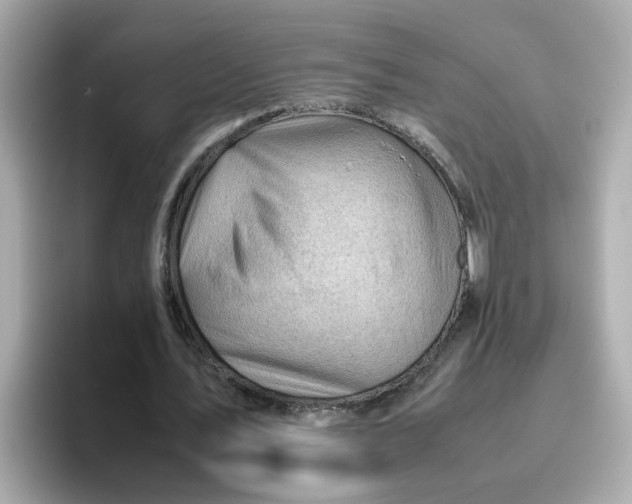 X0000096460579200802141534
