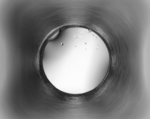 X0000096460580200802141534