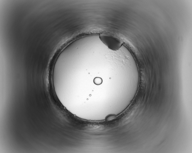 X0000096460582200802141534