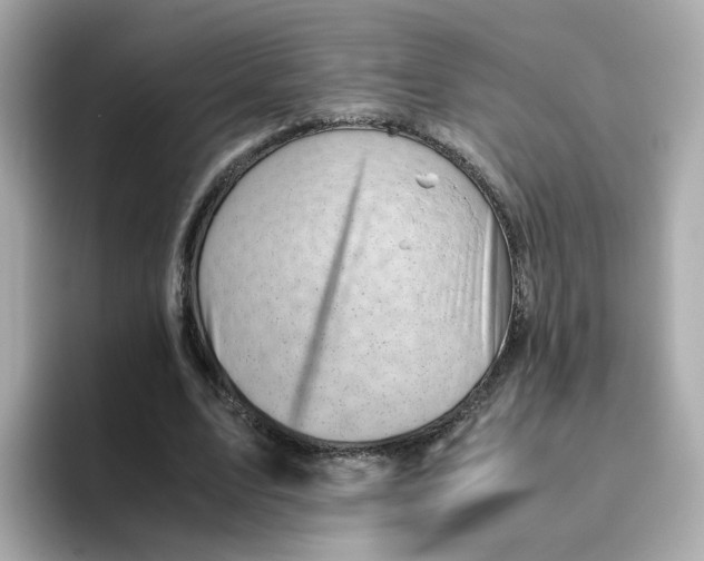 X0000096460583200802141534