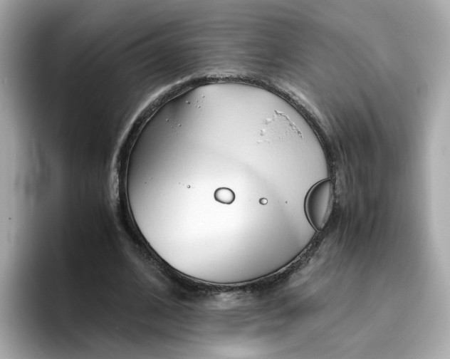 X0000096460584200802141534