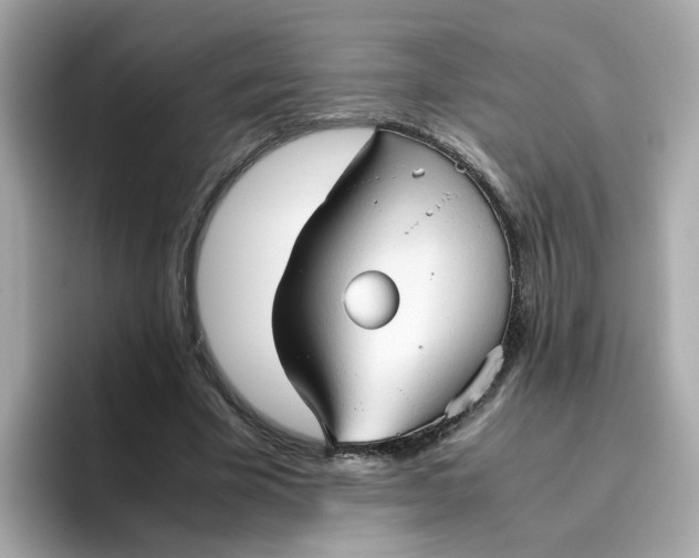 X0000096460585200802141534