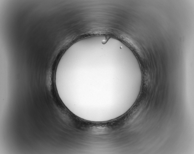 X0000096460586200802141534