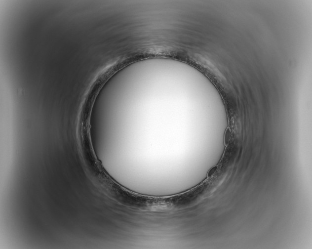 X0000096460587200802141534