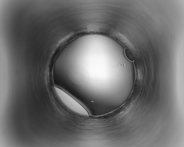 X0000096460588200802141534