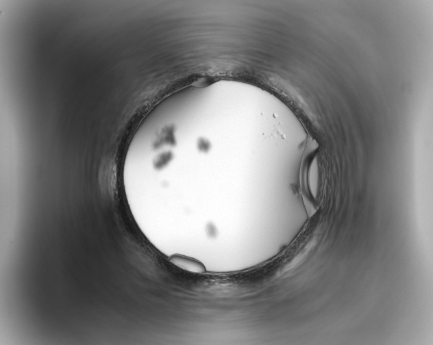 X0000096460589200802141534