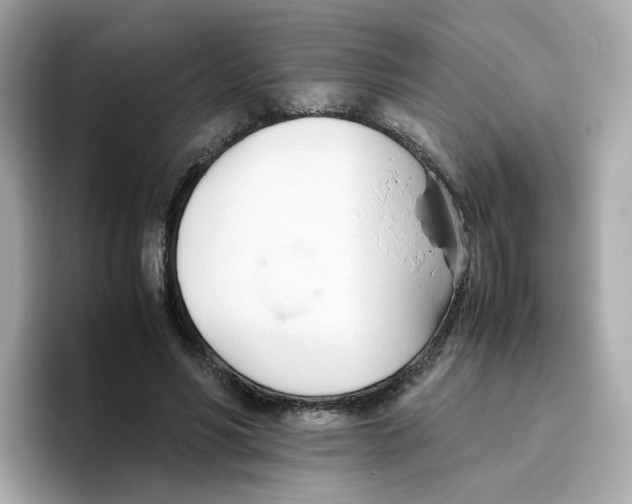 X0000096460590200802141534