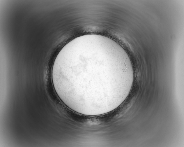 X0000096460591200802141534