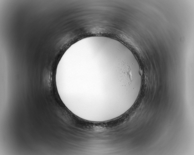 X0000096460592200802141534